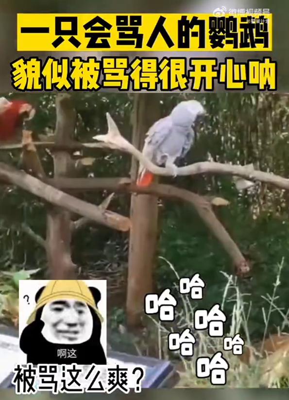 DƬ
